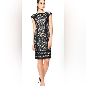 Tadashi Shoji Embroidered Lace Sheer Inset Pintuck Dress 12 Black Primrose Party